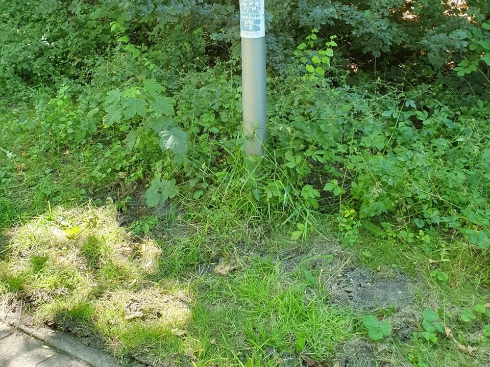 bike_theft_04
